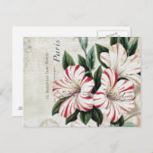 ヴィンテージモダンアマフランスのリル ポストカード (正面/裏面)