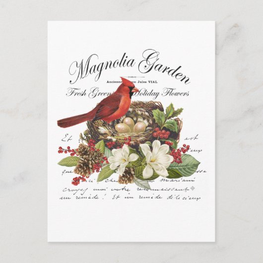 ヴィンテージモダンクリスマス(鳥)ショウジョウコウカンチョウ ポストカード (正面)