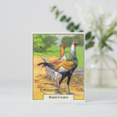 ヴィンテージモダンゲーム鶏 ポストカード (スタンド正面)