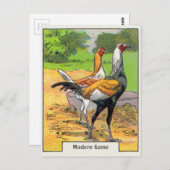 ヴィンテージモダンゲーム鶏 ポストカード (正面/裏面)