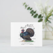 ヴィンテージモダントルコ ポストカード (スタンド正面)