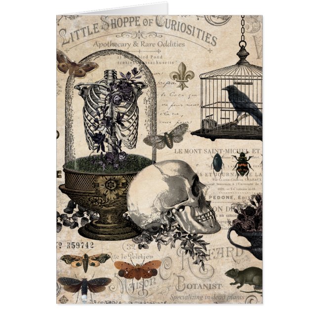 ヴィンテージモダンハロウィーンガーデン (正面)