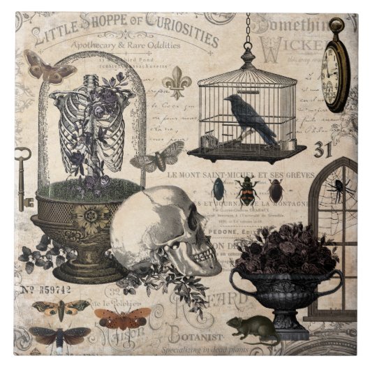 ヴィンテージモダンハロウィーンガーデン タイル (正面)