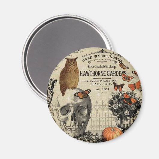 ヴィンテージモダンハロウィーンフクロウとスカル マグネット (正面/裏面)