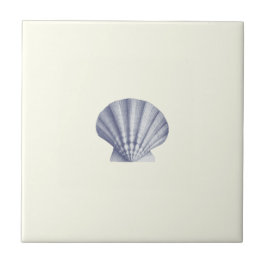 ヴィンテージモダンブルーシーシェルオンアイボリー タイル