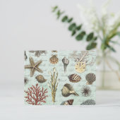 ヴィンテージモダン貝類 ポストカード (スタンド正面)