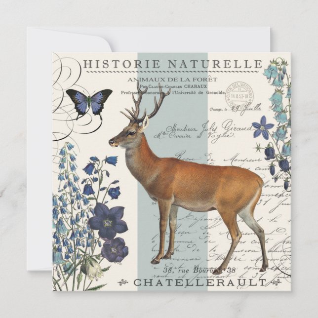 ヴィンテージモダン鹿 (正面)