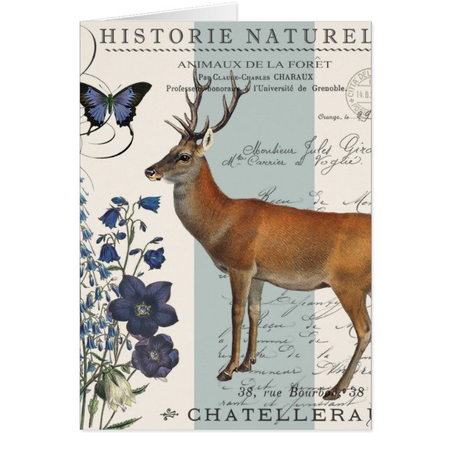 ヴィンテージモダン鹿 (正面)