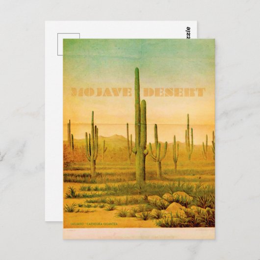 ヴィンテージモハベ砂漠の旅行はがき ポストカード (正面/裏面)