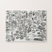 ヴィンテージモルルスカシー海カタツムイルマリン ジグソーパズル (横)