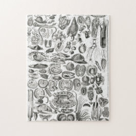 ヴィンテージモルルスカシー海カタツムイルマリン ジグソーパズル