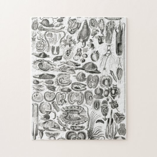 ヴィンテージモルルスカシー海カタツムイルマリン ジグソーパズル (縦)