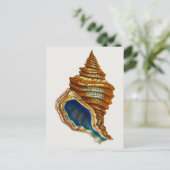 ヴィンテージモルルスクシェルバイジョージ・ショー ポストカード (スタンド正面)