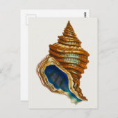 ヴィンテージモルルスクシェルバイジョージ・ショー ポストカード (正面/裏面)