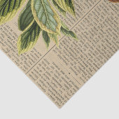 ヴィンテージモンキーコラージュ 薄葉紙 (詳細)