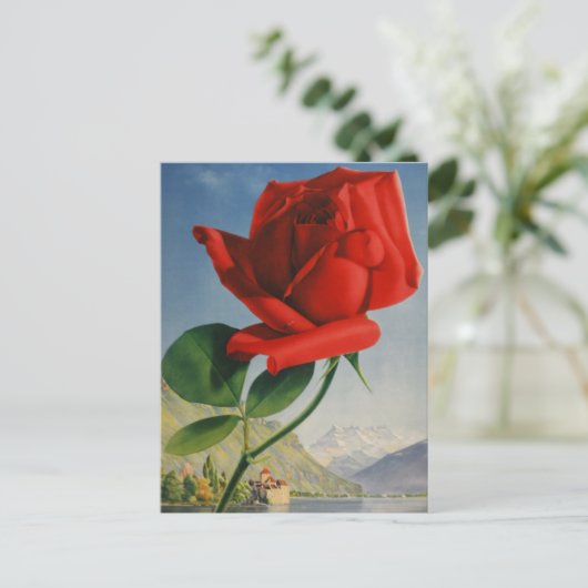 ヴィンテージモントリオックスレッドローズスイスジュネーブレイク ポストカード (スタンド正面)