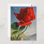 ヴィンテージモントリオックスレッドローズスイスジュネーブレイク ポストカード (正面/裏面)