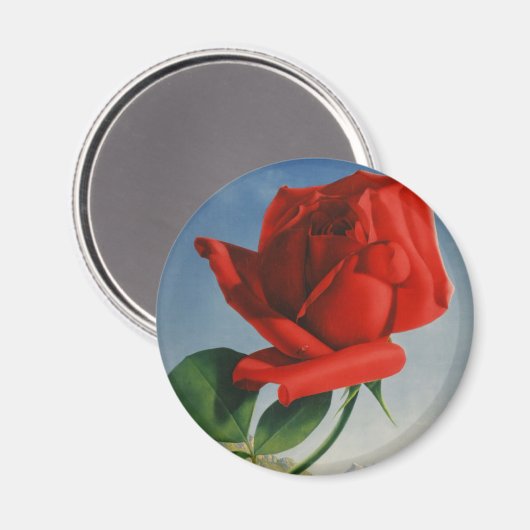 ヴィンテージモントリオックスレッドローズスイスジュネーブレイク マグネット (正面/裏面)