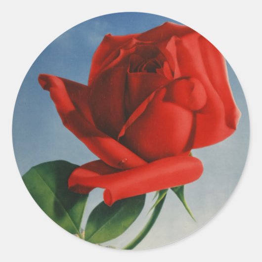 ヴィンテージモントリオックスレッドローズスイスジュネーブレイク ラウンドシール (正面)