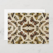 ヴィンテージモースはがき ポストカード (正面/裏面)