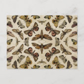 ヴィンテージモースはがき ポストカード (正面)