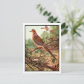 ヴィンテージモーニングドーブ – ロバート・ブルース・ホースフォール ポストカード (スタンド正面)