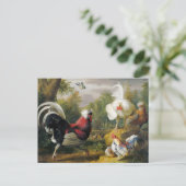 ヴィンテージヤコブボグダニザコックルズファイト ポストカード (スタンド正面)