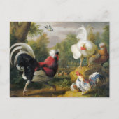 ヴィンテージヤコブボグダニザコックルズファイト ポストカード (正面)