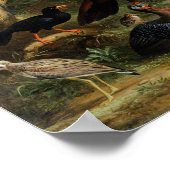 ヴィンテージヤコブ・ボグダニの鳥並み ポスター (角)