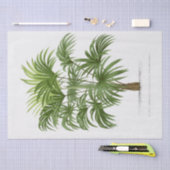 ヴィンテージヤシ 薄葉紙 (クラフト)