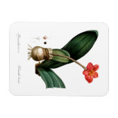 ヴィンテージユリプリント可撓性写真磁石 マグネット (横)