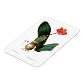 ヴィンテージユリプリント可撓性写真磁石 マグネット (左側)