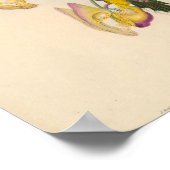 ヴィンテージユートキレアクイラハミングバードイラストレーション ポスター (角)