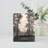 ヴィンテージヨセミテ秋 ポストカード (スタンド正面)