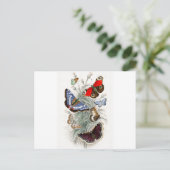 ヴィンテージヨーロッパチョウ ポストカード (スタンド正面)