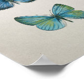 ヴィンテージヨーロピアンチョウアールプリント ポスター (角)