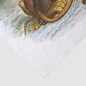 ヴィンテージライオンとCubsイラストレーションの切り離し 薄葉紙 (詳細)