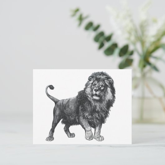 ヴィンテージライオンのスケッチ、前足を持ち上げ離れた ポストカード (スタンド正面)