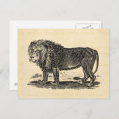 ヴィンテージライオンイラストレーション- 1800年代のアフリカ動物 ポストカード (正面/裏面)