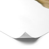 ヴィンテージライオンファミリーアートワイルドライフ ポスター (角)