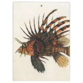 ヴィンテージライオンフィッシュ、海洋海生命動物 クリップボード (裏面)