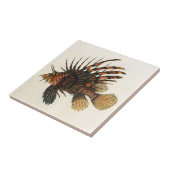 ヴィンテージライオンフィッシュ、海洋海生命動物 タイル (側面)