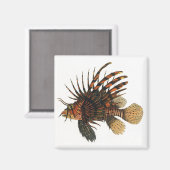 ヴィンテージライオンフィッシュ、海洋海生命動物 マグネット (正面/裏面)