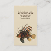 ヴィンテージライオンフィッシュ、海洋海生命動物 名刺 (裏面)