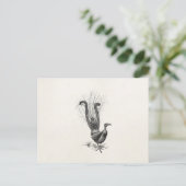 ヴィンテージライレバードライレバードイラストレーションテンプレート ポストカード (スタンド正面)