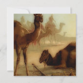 ヴィンテージラクダ (正面)