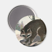 ヴィンテージラクーン、野生動物の森の生物 マグネット (正面/裏面)