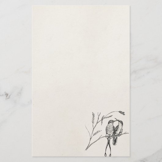 ヴィンテージラケット尾ハチドリのパーソナライズな鳥 便箋 (正面)