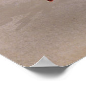 ヴィンテージラシャンブルホットエアバルーンポスター ポスター (角)