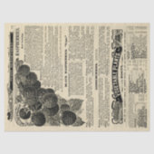 ヴィンテージラズベリー図解入りの、写真付きのカタログ広告クラフト 薄葉紙 (正面)